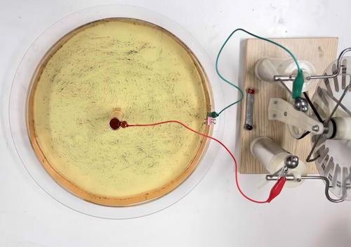 图三 一等奖获奖作品展示